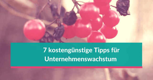 7 Tipps für Unternehmenswachstum 7 Tipps, damit Unternehmen wachsen können
