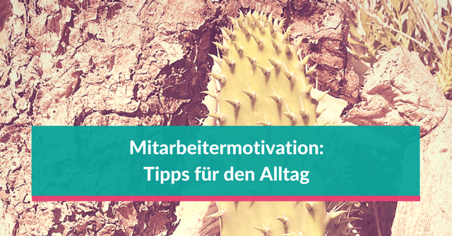 Mitarbeitermotivation: Tipps für den Alltag