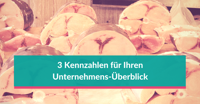 3 Kennzahlen für den umfangreichen Überblick über das Unternehmen Nur 3 Kennzahlen reichen im Unternehmen aus für den Überblick