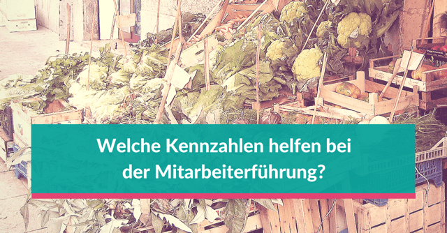 Kennzahlen in der Mitarbeiterführung von Kleinunternehmen Gute Mitarbeiterführung braucht eigene Kennzahlen