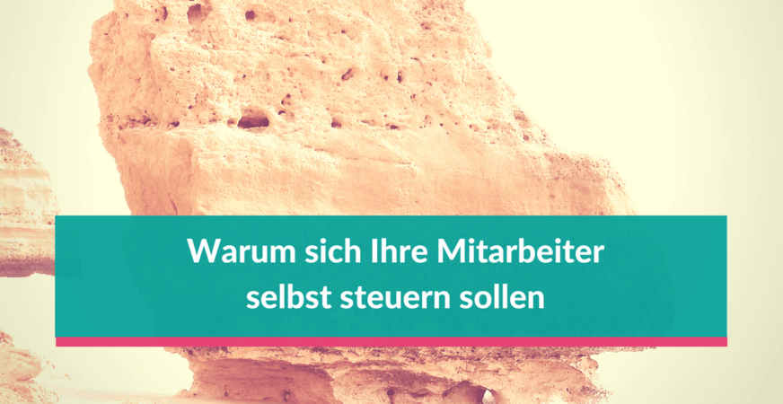 Hilft Selbstmanagement von Mitarbeitern immer nur dem Unternehmensinhaber? Selbstmanagement für Mitarbeiter