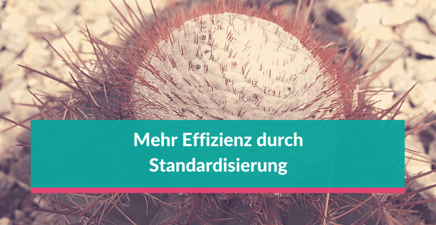 Mehr Effizienz durch Standardisierung (7 Vorteile) Interne, optimierte Strukturen sind die Basis für die Digitalisierung.